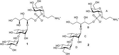 Synthesis and Preliminary Immunological Evaluation of a Pseudotetrasaccharide Related to a Repeating Unit of the Streptococcus pneumoniae Serotype 6A Capsular Polysaccharide